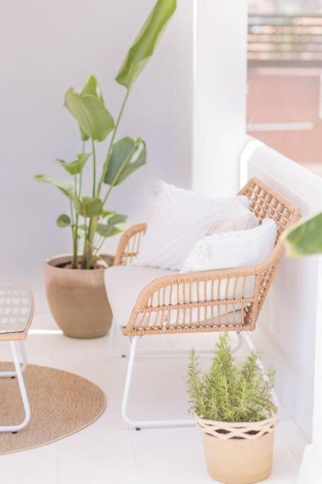 Downtown Flat With 46 Sqm Private Rooftop Terrace 马拉加 外观 照片